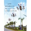 沈陽(yáng)10米中華燈批發(fā)供應(yīng)