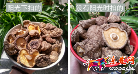 淘寶店鋪裝修