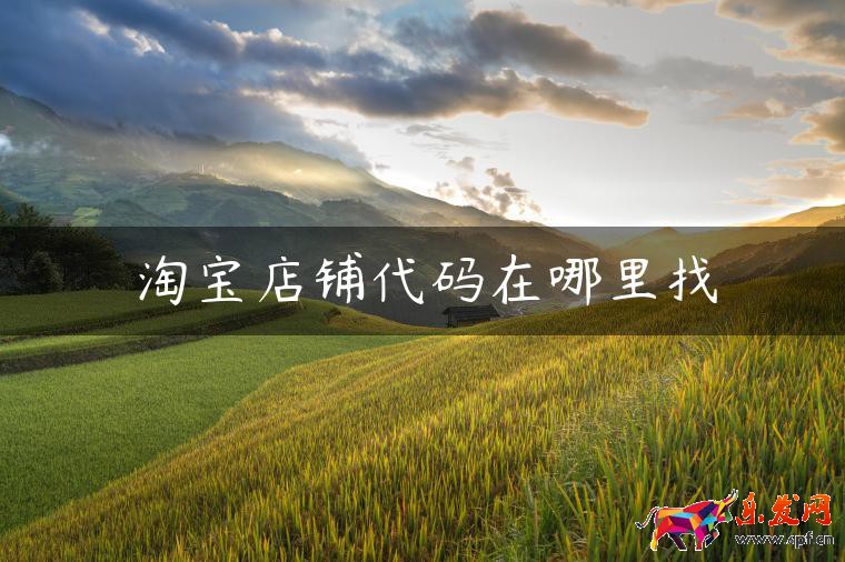 淘寶店鋪代碼在哪里找